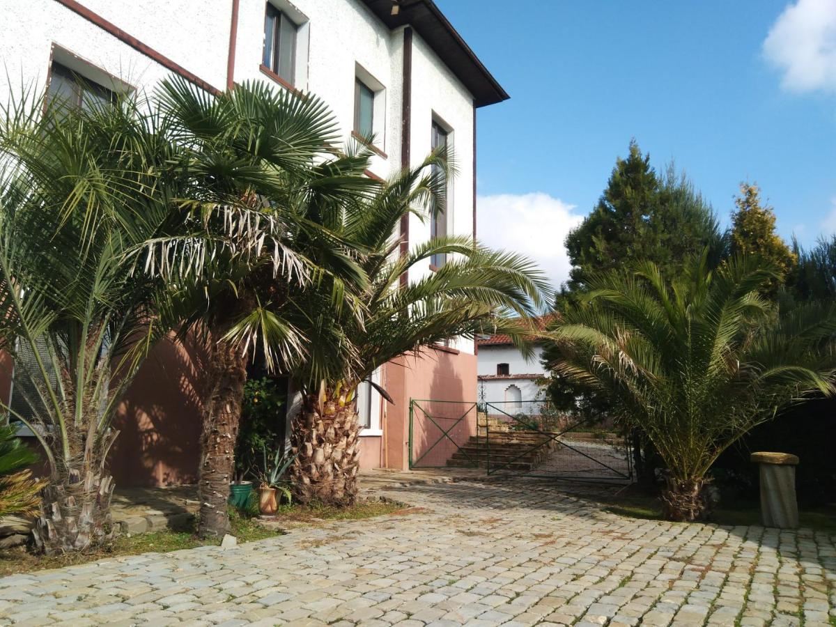 Villa Drjanovo Kültér fotó